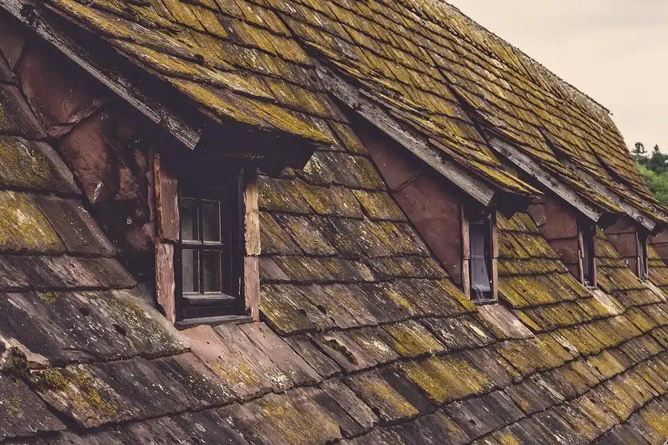 Old damaged roof needing repair, highlighted in spring roofing checklist for cleaning