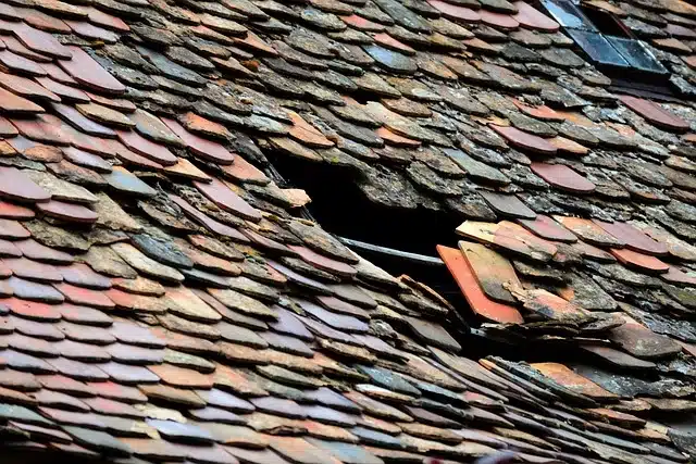 Visible water damage on a residential roof in Winnipeg—an essential item for roof inspection cheklist