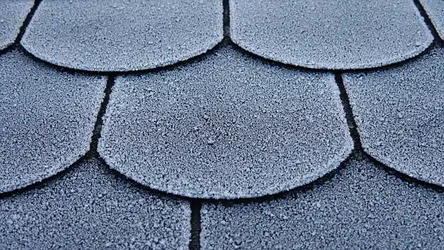 Asphalt roof — one example of a well-maintained roof. A good reference for Spring Roof Maintenance Tips.