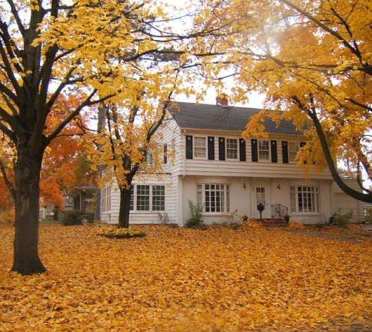 A white house in the middle of a trees with orange leaves
