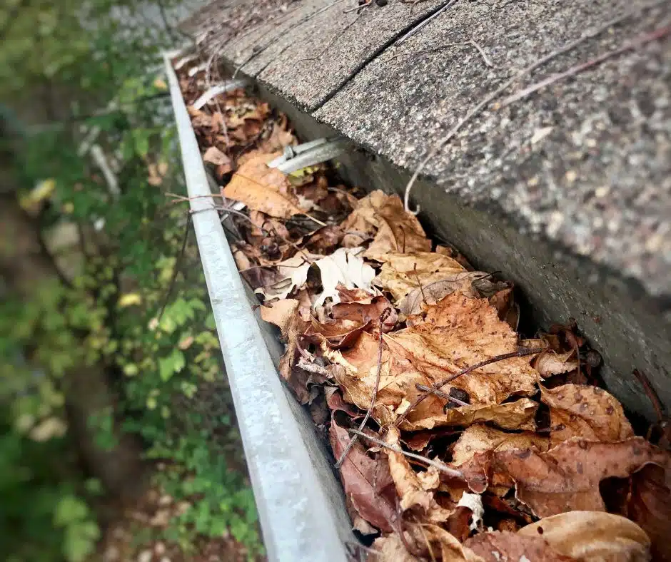 gutters clogged by leaves