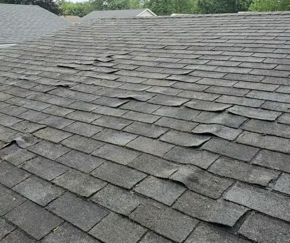 Damaged, curled asphalt roof shingles
