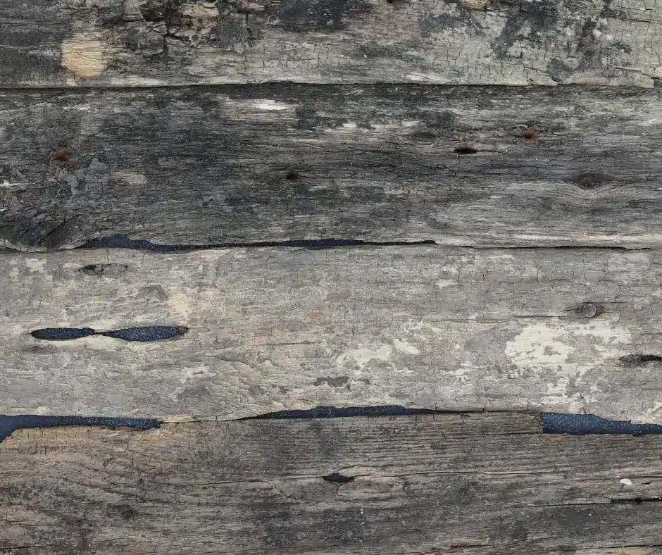 The dark, rotten roof sheathing exhibits spongy, soft wood damage due to moisture.