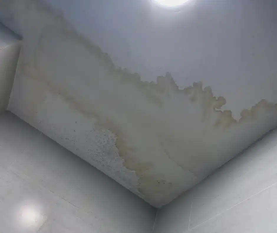 Large brown water stain spreading across a white ceiling. A problem that needs winter roof inspections