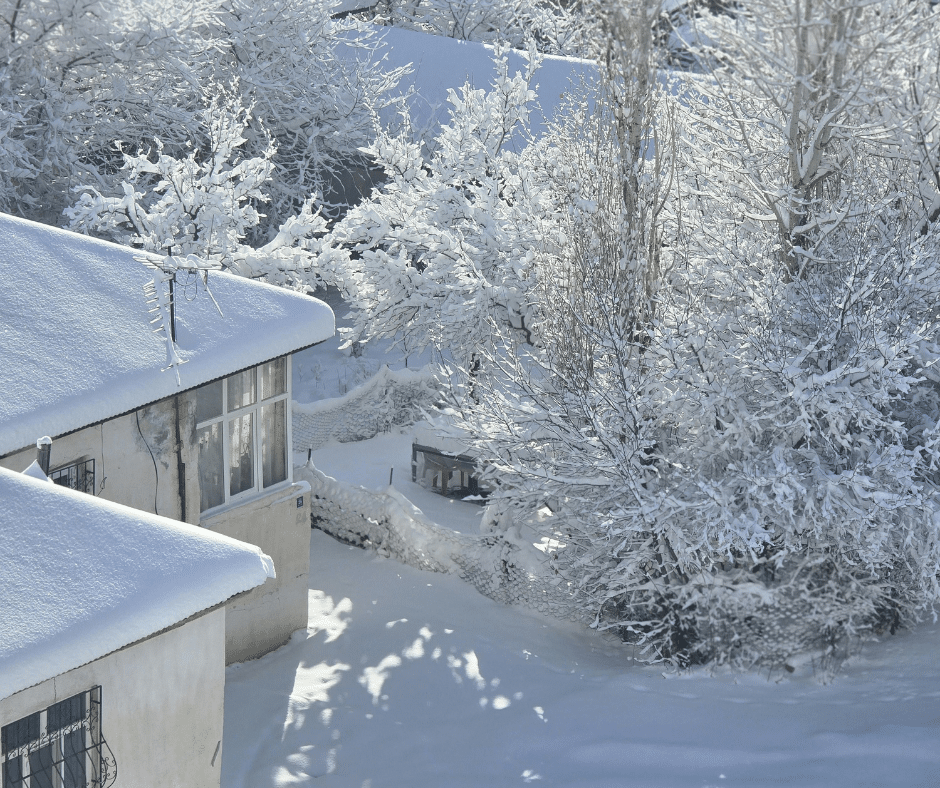 Snow-covered houses and trees in a backyard blanketed with deep winter snow in bright daylight.