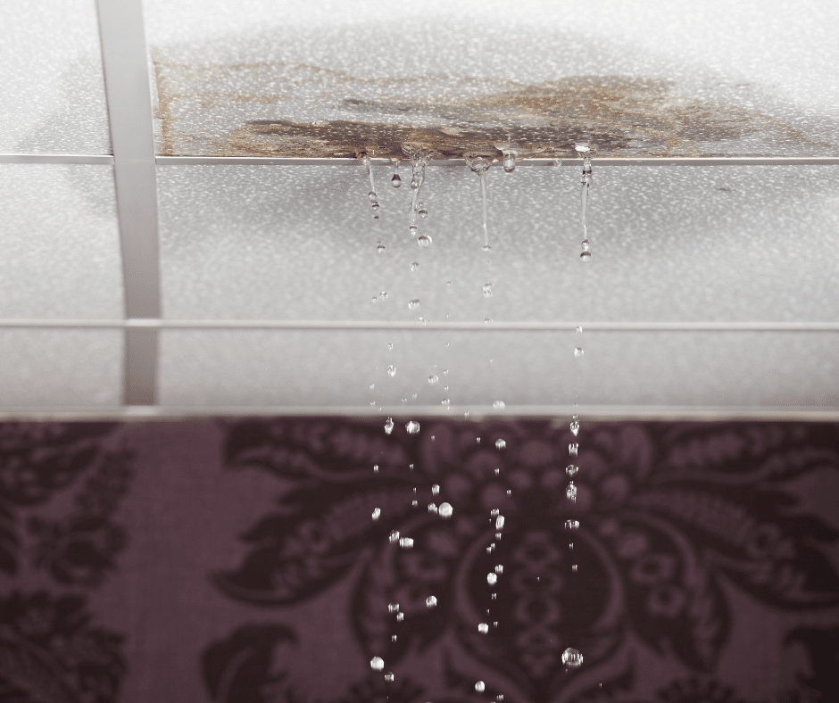 Close-up of water leaking through a damaged ceiling panel, with droplets falling inside a home.