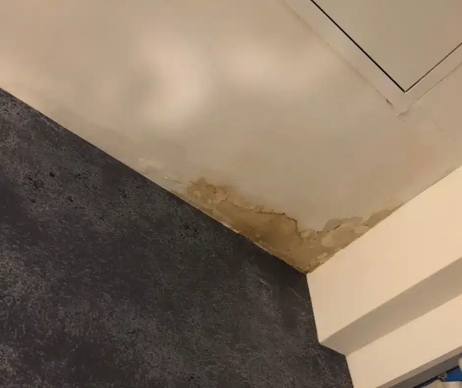 Water-stained ceiling showing signs of a roof leak.