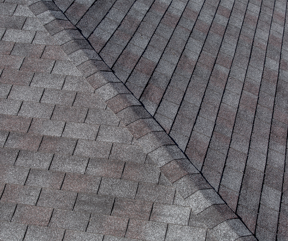 a close up of a dimensional roof shingle type